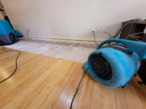 Professional Water Damage Repair technician working in Westbrook, ME